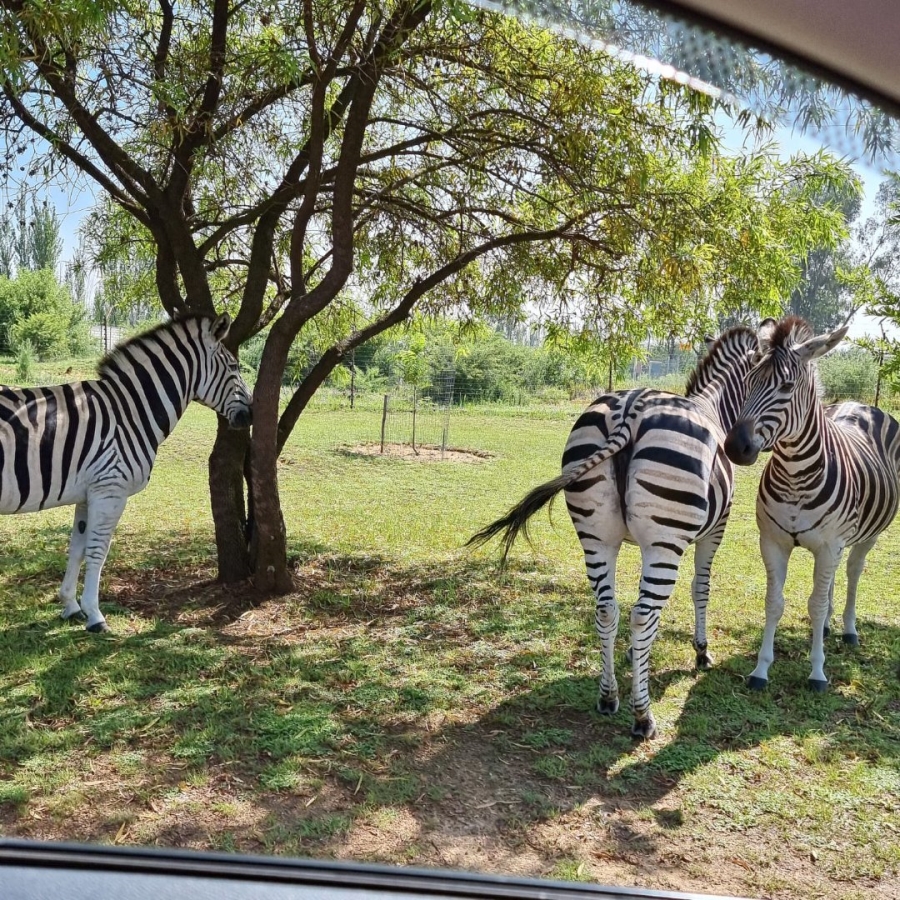 5 Bedroom Property for Sale in River Lodge Estate Free State